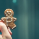 youtube-no-cookie-avg-gdpr-pietro-de-grandi-198064-unsplash